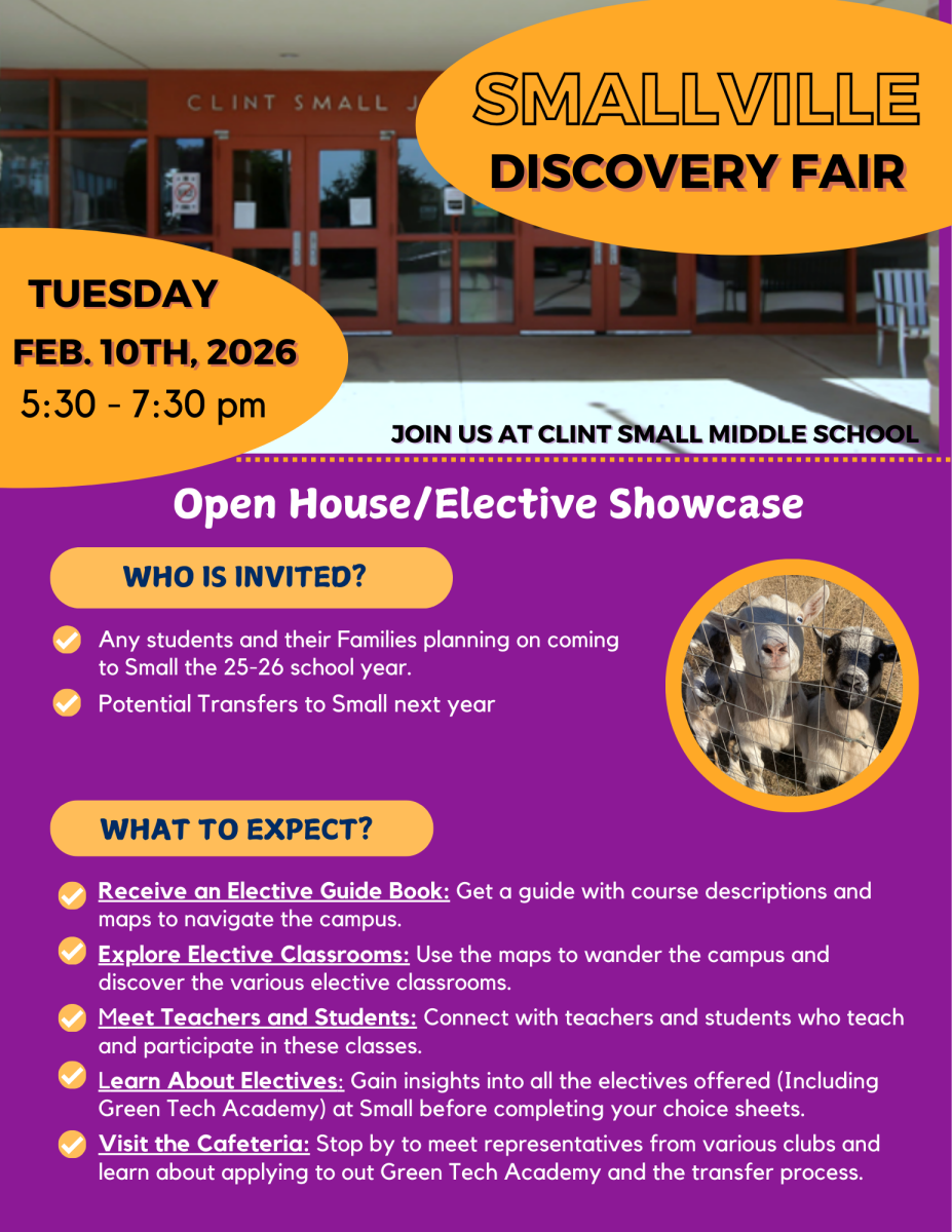 Discovery Fair Flyer