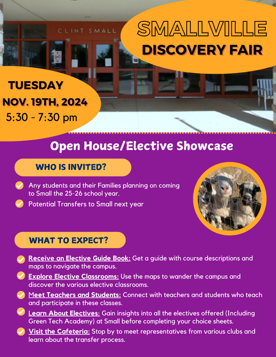 discover fair flyer