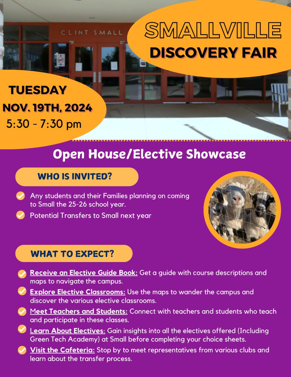 Fair Flyer